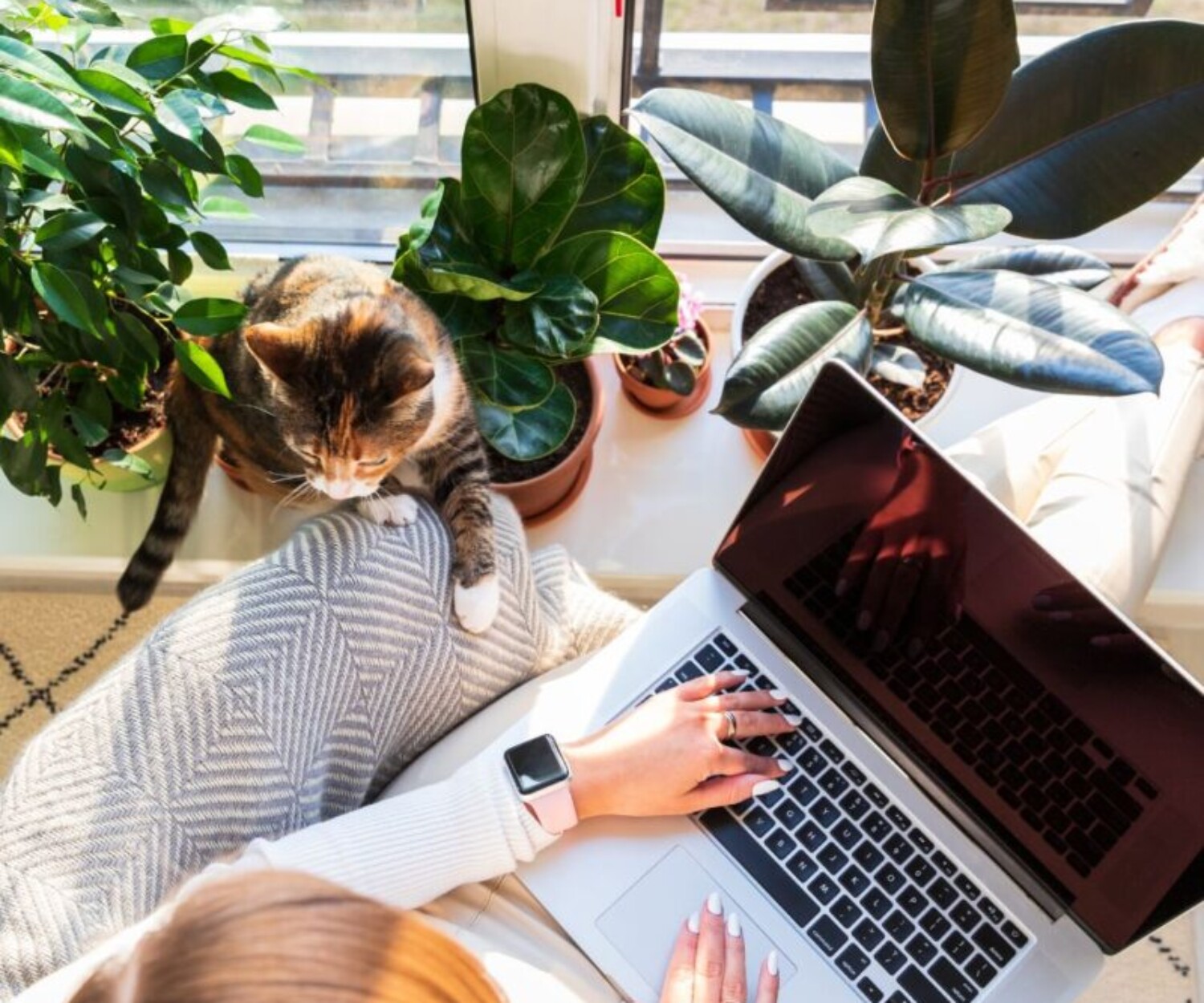 mortgage broker melbourne